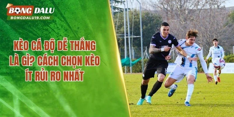 Kèo Cá Độ Dễ Thắng – Hướng Dẫn Cách Mang Lại Nhiều Tiền Nhất